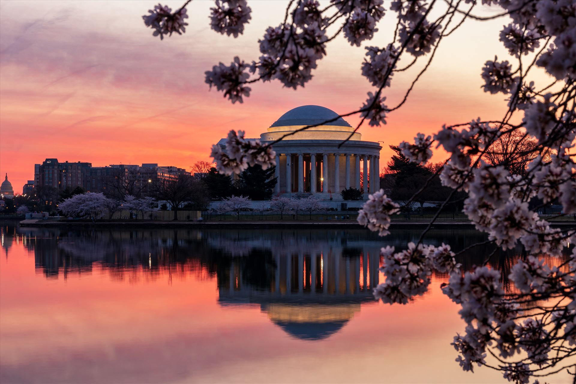 Jefferson Memorial Breaking Morn -  by Patricia Zyzyk